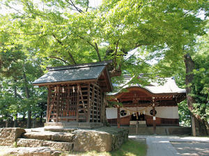 20100728_1065shuusei.jpg