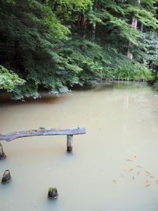 20100728_527shuusei.jpg