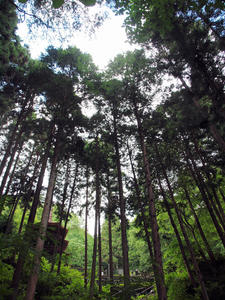 20100728_533shuusei.jpg