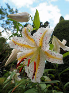 20100728_561shuusei.jpg