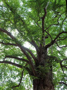 20100728_574shuusei.jpg