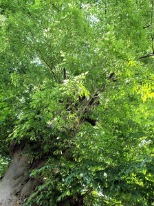 20100728_651shuusei.jpg