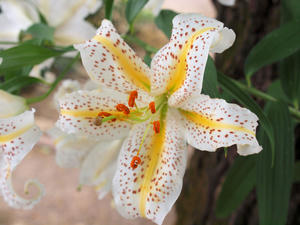 20100728_662shuusei.jpg