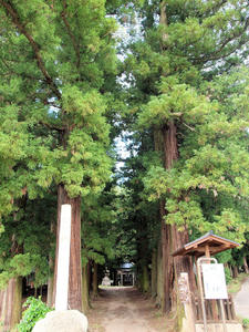 20100728_601shuusei.jpg