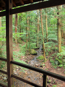 20100728_612shuusei.jpg