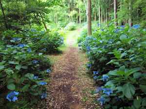 20100728_629shuusei.jpg