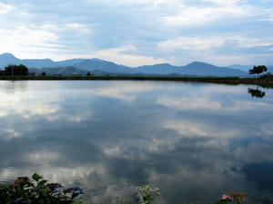 20100728_645shuusei.jpg
