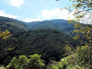 20100916_691shuusei.jpg