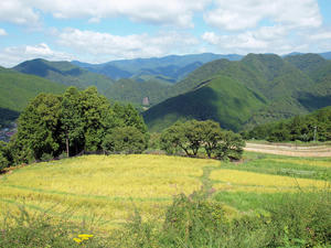 20100916_694shuusei.jpg