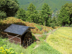 20100916_699shuusei.jpg