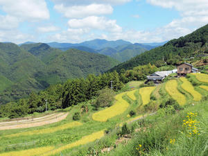 20100916_702shuusei.jpg