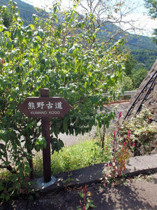20100916_704shuusei.jpg