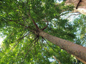 20100916_711shuusei.jpg