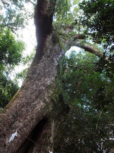 20100916_713shuusei.jpg