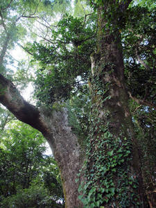 20100916_715shuusei.jpg