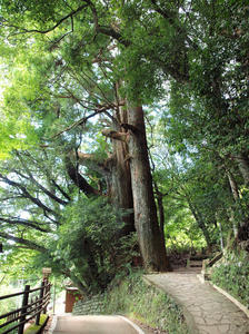 20100916_757shuusei.jpg