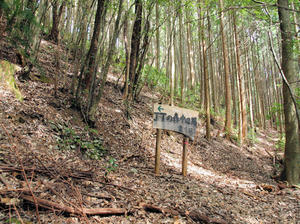 20100916_763shuusei.jpg