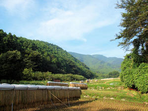 20100923_3shuusei.jpg
