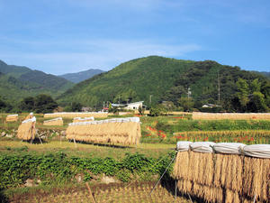 20100923_29shuusei.jpg