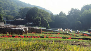 20100923_72shuusei.jpg