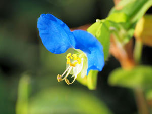 20100923_64shuusei.jpg