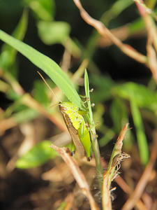 20100923_78shuusei.jpg