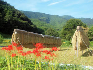 20100923_84shuusei.jpg