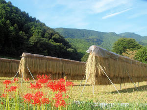 20100923_90shuusei.jpg