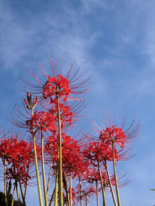20100923_101shuusei.jpg