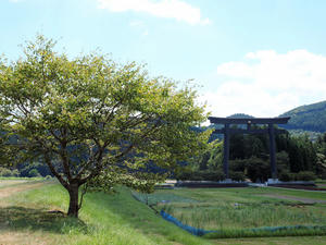 20100916_770shuusei.jpg