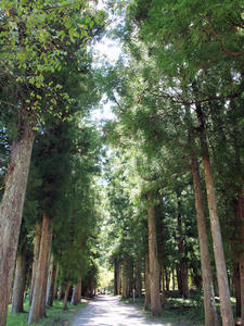 20100916_790shuusei.jpg