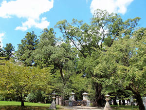 20100916_800shuusei.jpg