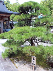 20100916_828shuusei.jpg