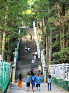 20100916_839shuusei.jpg
