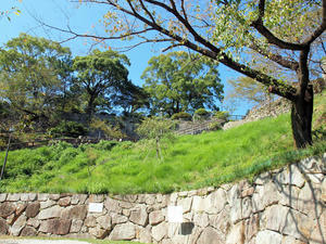 20100916_884shuusei.jpg
