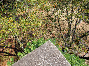 20100916_896shuusei.jpg
