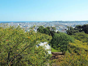 20100916_895shuusei.jpg