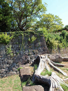 20100916_912shuusei.jpg