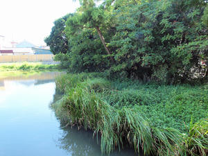 20100916_955shuusei.jpg