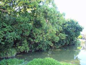 20100916_978shuusei.jpg