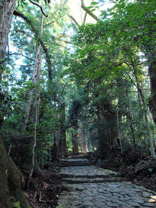 20100916_1013shuusei.jpg