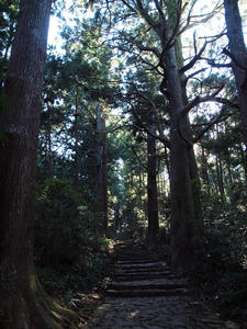 20100916_1016shuusei.jpg