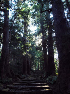 20100916_1021shuusei.jpg