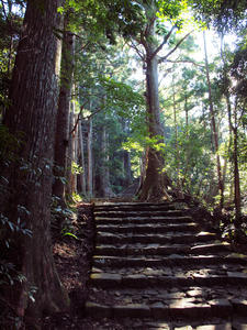 20100916_1024shuusei.jpg