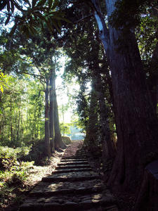 20100916_1026shuusei.jpg