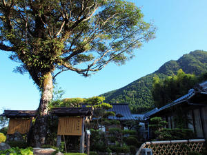 20100916_1037shuusei.jpg