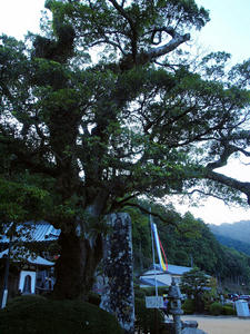 20100916_1090shuusei.jpg