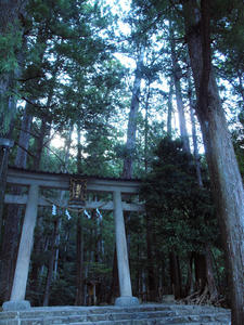 20100916_1131shuusei.jpg