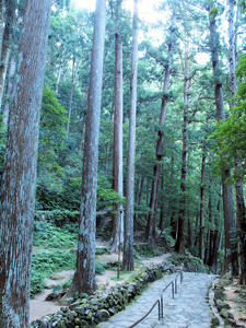 20100916_1134shuusei.jpg