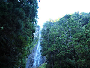 20100916_1140shuusei.jpg